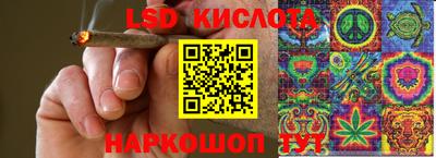 крисы Коммунар
