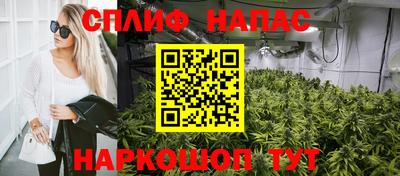крисы Коммунар