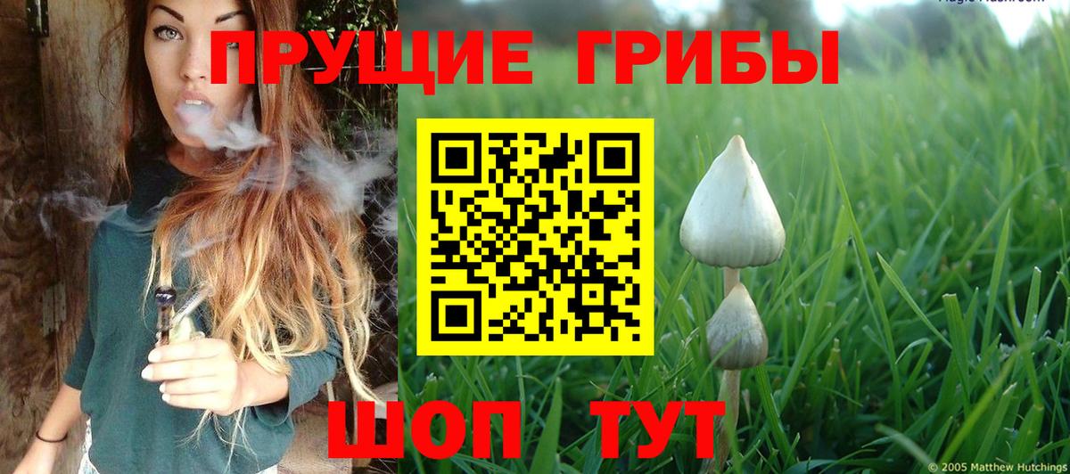Кизляр  Псилоцибиновые грибы прущие грибы  Вход с VPN  Галлюциногенные грибы GOLDEN TEACHER 
